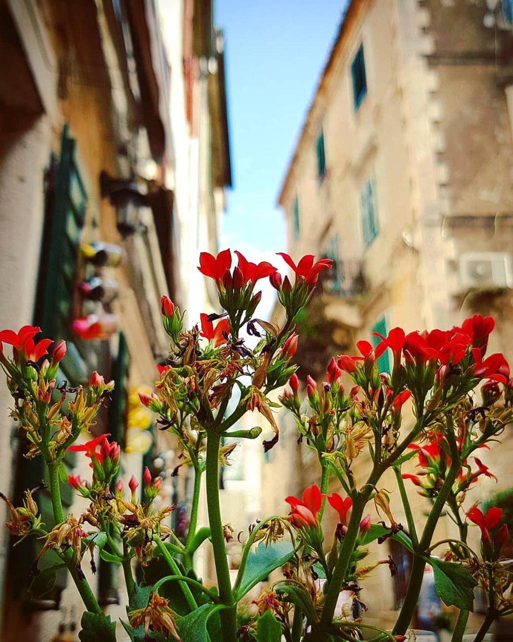 Kotor Bagus - Cozy Boutique Old Town Studio With Seaview Terrace Εξωτερικό φωτογραφία